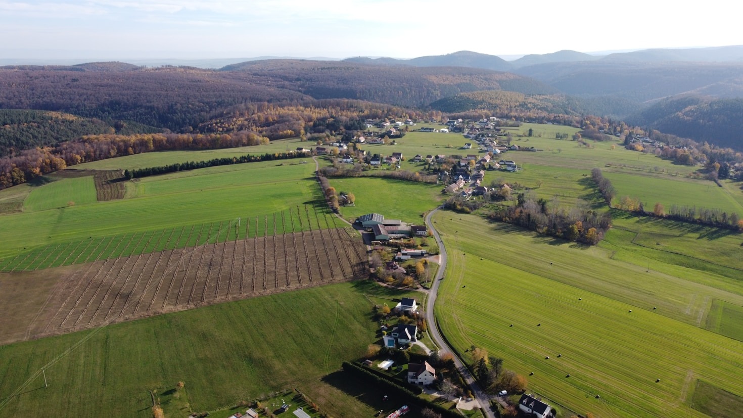 خدمات لارسا في تنسيق الحدائق: الجودة والتميز